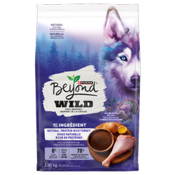 Beyondᴹᴰ Sans Grains inspirée de la chasse dinde naturelle riche en protéines recette de dinde, d’œufs et de bouillon d’os nourriture Sèche Pour Chien