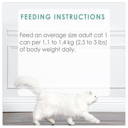 Feeding Recommendations
