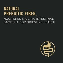 Natural prebiotic fiber