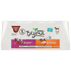 Purina beyond wet dog food hot sale