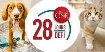 DÉFI DE 28 JOURS