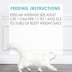 Feeding Recommendations