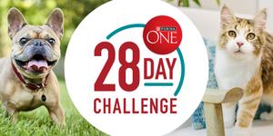 Purina ONE 28 day challenge