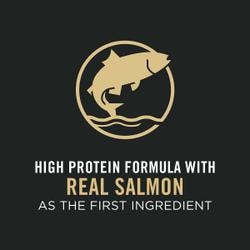 Real salmon as the first ingredient