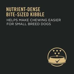 Nutrient-dense bite-sized kibble