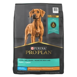 Large kibble puppy food online