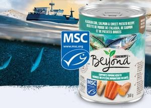Recette de nourriture pour chiens Beyond certifiée MSC superposée avec une image de bateau sur l’eau