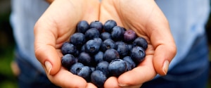 A handful of blueberries