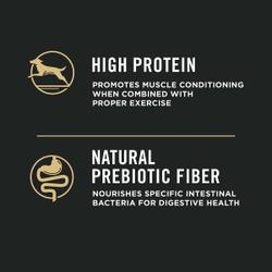 High protein, natural prebiotic fiber