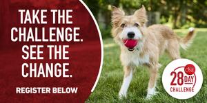 28 day challenge dog