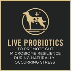 Live Probiotics