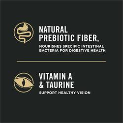 Natural Prebiotic Fibre
