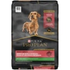 Pro Planᴹᴰ Adulte Peaux et Estomacs Sensibles Formule Petites Races Saumon et Riz Nourriture Sèche pour Chiens