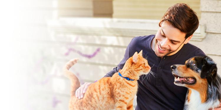 Beyond Natural Cat and Dog Food