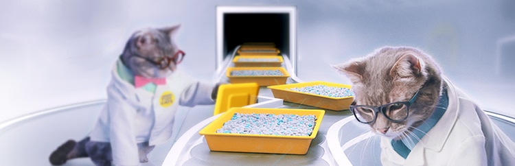 Digital cat litter coupons hot sale